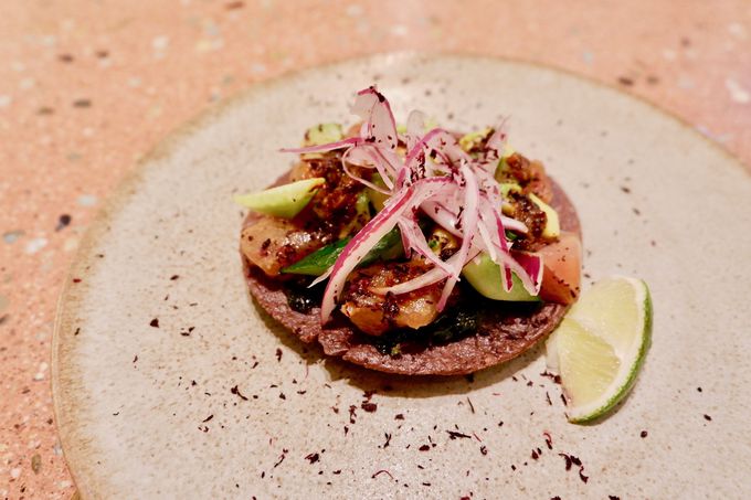 ���s�̑f�ނ������ꂽ�a�V�ȃ��L�V�R�����I