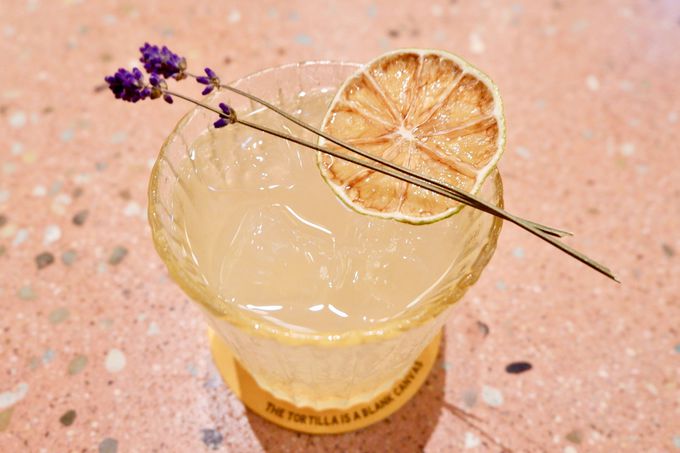 ���s�̑f�ނ������ꂽ�a�V�ȃ��L�V�R�����I