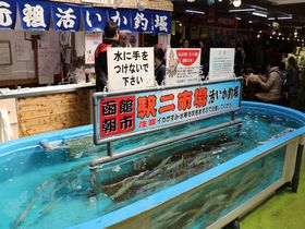 函館朝市駅二市場で大人気！「活いか釣堀」に挑戦して、新鮮なイカの刺身を堪能しよう