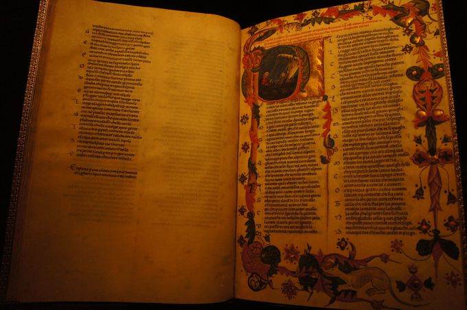 �ŌÂ̕��w�A�ŌÂ̗��j�@�l�Ԃ̎n�܂�