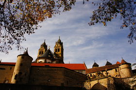 ƋF̏ hCcuVF[rbVnvRuNC@̋LTlC