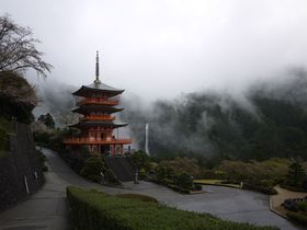 ΂ɊOȂIEYFÓEɂ̏Ȟǂ̋LTlC