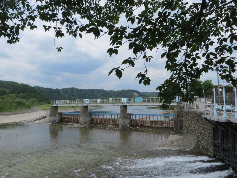 江戸より続く東京の水源地を訪ねて。羽村取水堰とその周辺の見どころ