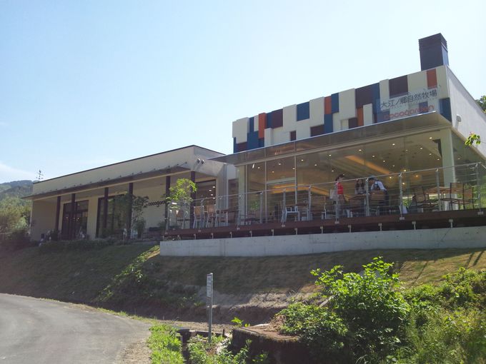 山郷にあるマイナスイオンたっぷりのカフェ「cocogarden」。