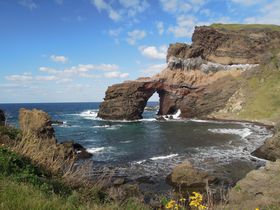 �������ɂ��������������I���m���̍���C�݂Ō����鎩�R��������s��Ȍi�F�̋L���T���l�C��