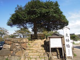 �͋����R�́g�v�w�ցh�͕K���I���������]�s�u���d�_�_�Ёv�̋L���T���l�C��