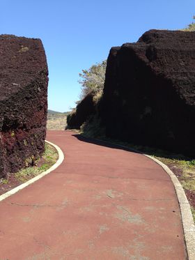 �C��������Ȃ��A��n�̗͂������悤�I�����s�u�ɓ��哇�v�̑厩�R�̋L���T���l�C��