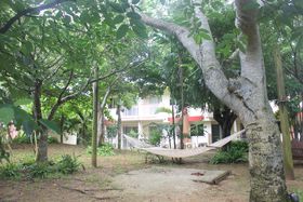 ɃbNXXeCIuRR K[f][g ILivőlq喞̋LTlC