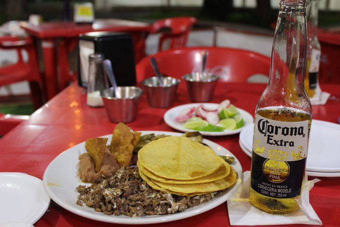 ^RX̐lCXTacos Rigo