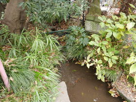 ���������R�����H���I�����E������u�͂��̐X���p�فv���U�􂷂�̋L���T���l�C��