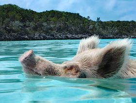 JuCŉj!?yon}̃GOX[}ŏo肦ȂiƂ͂̋LTlC