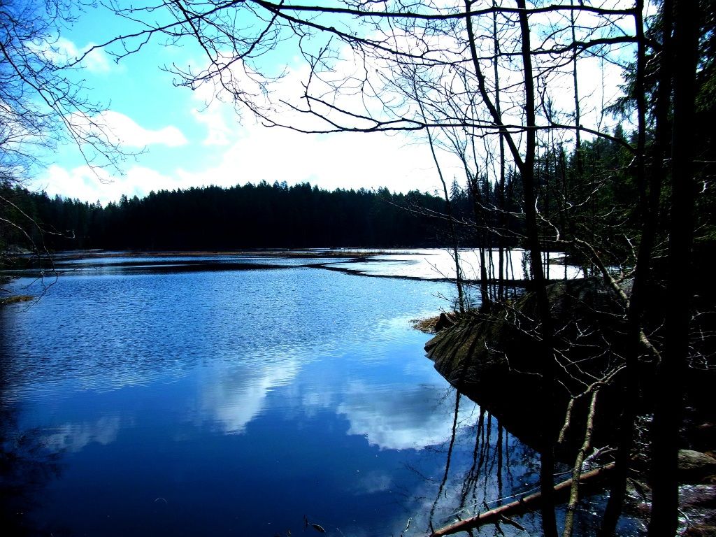 北欧神話の森でピクニック！ヌークシオ国立公園はヘルシンキから日帰りできる夢の世界