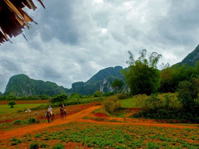キューバの The 農村風景 世界遺産ビニャーレス渓谷は馬で巡るのが断然おすすめ キューバ トラベルjp 旅行ガイド