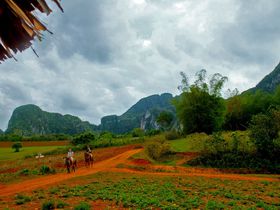 キューバの“THE・農村風景”世界遺産ビニャーレス渓谷は馬で巡るのが断然おすすめ！