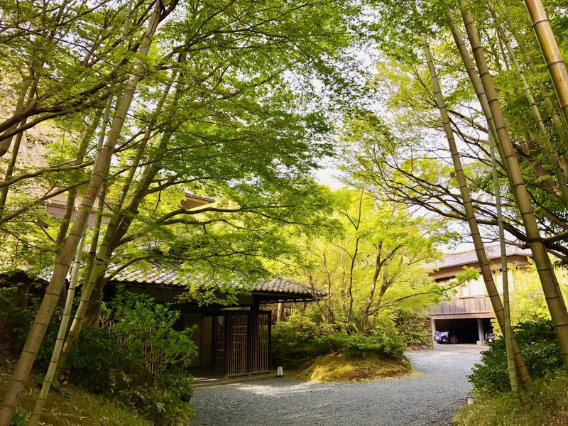 修善寺でおすすめの温泉宿5選　"伊豆の小京都"で歴史ある湯を堪能