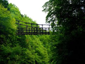 ゾクッとするほど深山幽谷！徳島の秘境「奥祖谷二重かずら橋」は知る人ぞ知るもうひとつのかずら橋