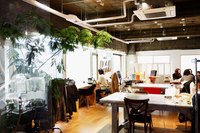 100���C�t���Ȃ��I��l�̔閧��n�@THE SNACK