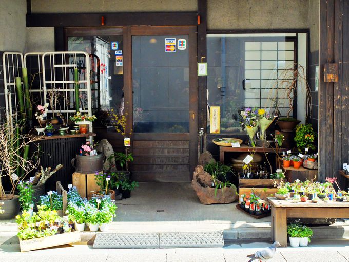 ȂHׂIԖ΂X܂̏ɂ́ủԁ@iv