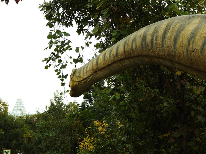 森の中で実物大のリアル恐竜に遭遇!?