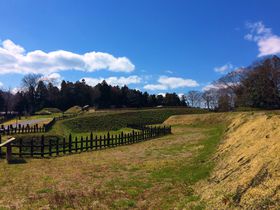 �^�c���K���U�߂��I�r��ɗՂޒf�R��ǂ̋���v�� ��ʁu���`��v��i�̋ʗ��͌����K���̋L���T���l�C��