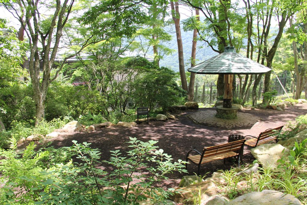 Rƒa뉀ƈH{݂ŊyЂƎEEE