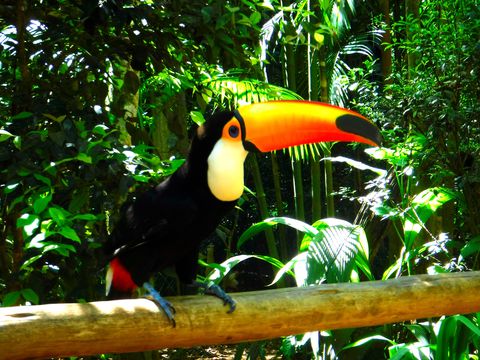 ����Ȓ������ƈꏏ�Ɂu�͂����`�[�Y�I�v�u���W���u�������v�͓�Ă̑厩�R�ƐG�ꂠ����y���I