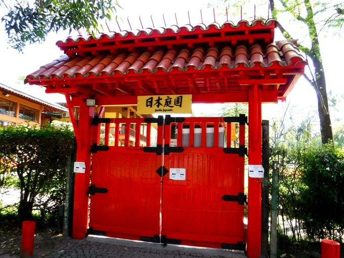 S炮{뉀unfBEn|lXvł܂ƁB