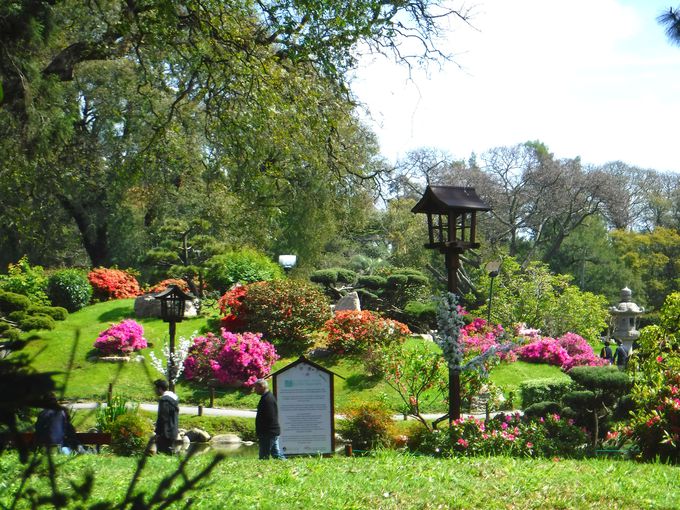 S炮{뉀unfBEn|lXvł܂ƁB