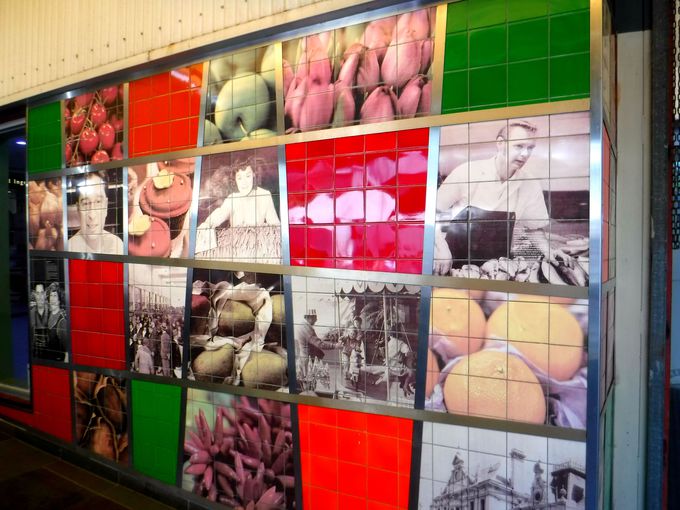 1864N瑱{̘V܎suv[}[Pbgv