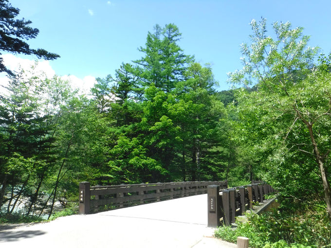 田代池から田代橋までは梓川コースと林間コースの2種類