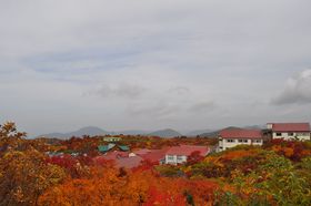 gt߂ĘIVɏI茧u{썂vŏHF̉OI̋LTlC