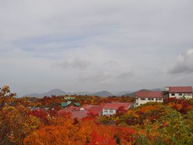 紅葉眺めて露天に蒸し湯！岩手県「須川高原温泉」で秋色の温泉三昧を！
