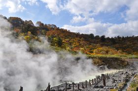 HcE̍gtƌ\̓huʐ쉷v̋LTlC