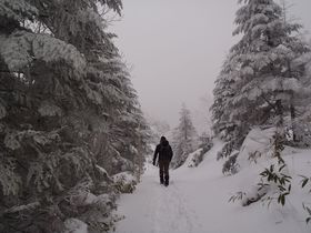 Rǒ]̓iVH͌ցIxEȌ͎R̐RoR̋LTlC