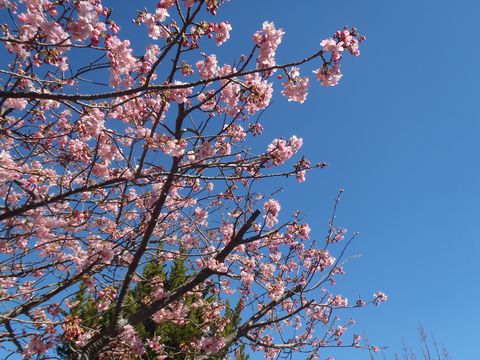 ���{�ꑁ���Ԍ����C�H�ɓ��E�􉷐�́u�x��q�����فv�I