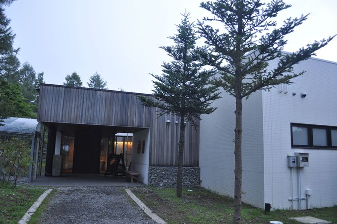 ����̓� �肦������