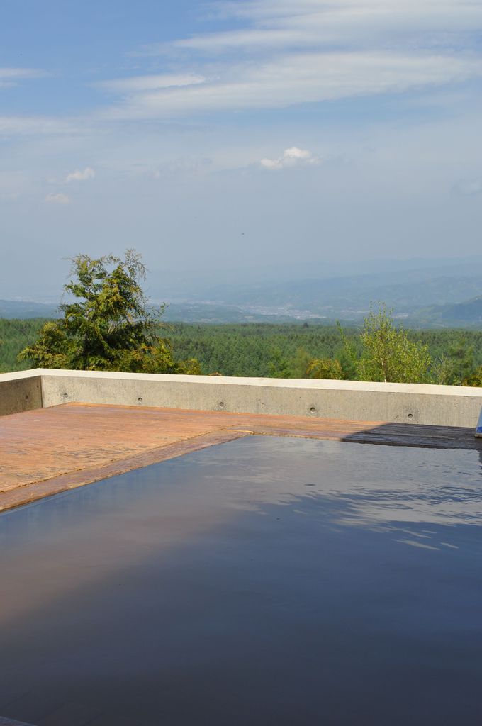 ���]�͖؂̕��C�ɌR�z�I