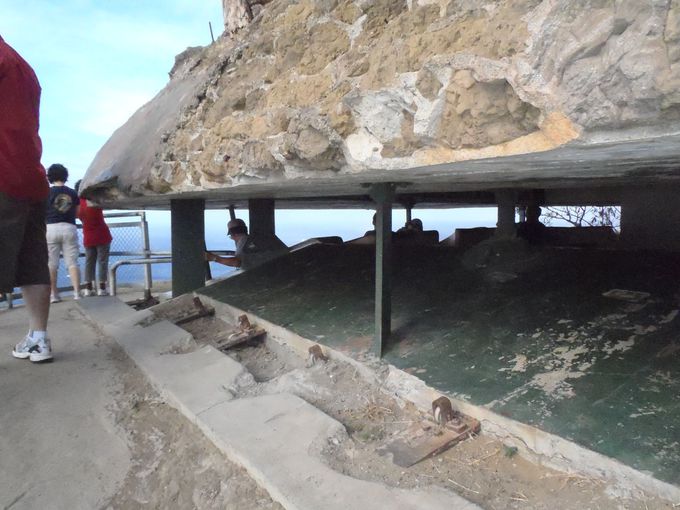 ����ɐi��ŗv�ǂ�