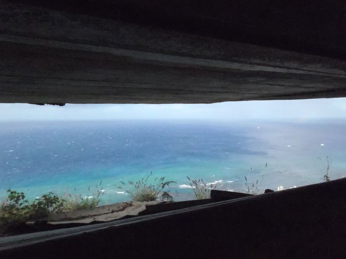 ����ɐi��ŗv�ǂ�