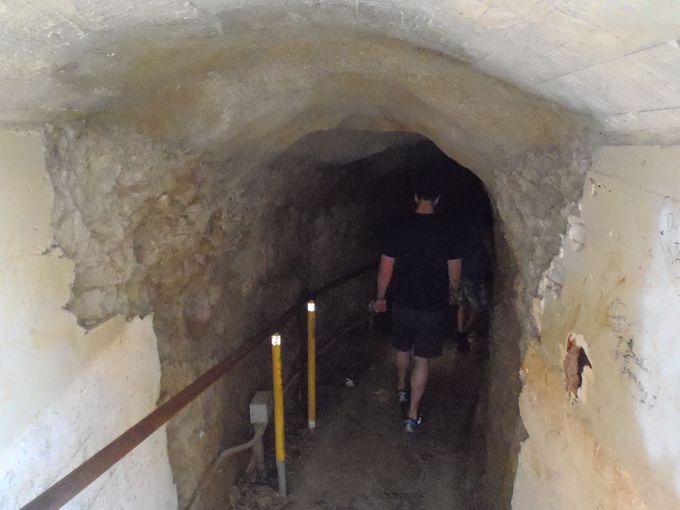 �K�i���Ђ�����~���