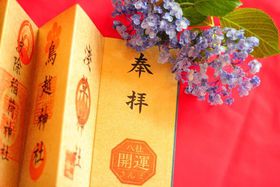 ČN߂ĊJ^Iu߂v8̐_Ђ̓ʈW߂悤̋LTlC