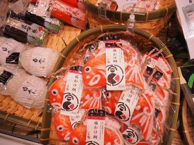 g̎n܂h{A5̃AeiVbvœ{cfC̋LTlC