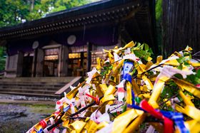 m{߂̓!?VEnm{uxÐ_ЁvŋF݂̂̋LTlC