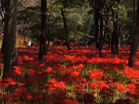 9���ɍs�������������s�您������10�I�y2025�z�̋L���T���l�C��