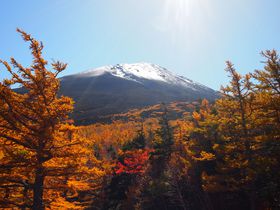 晴れたら爽快、ガスっても神秘的！おいしい富士山五合目の秋