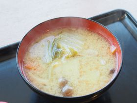 ؏`ɂ܂݂\tg!?zKΔȂ́u^PXفvŐMB݂̖ƍy̋LTlC