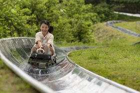 ̉Ԃ{uX[IVu򍂌 pm}p[NvōVѐs̋LTlC