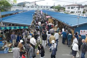 ̌C͒sIꑱ鐷u_qcsv̋LTlC