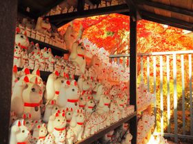 LƍgtłHIEɉƕ񎛁uv̋LTlC