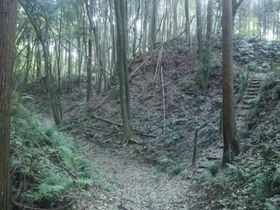 �S����ɂ����S����ɂ��I�肳��Ȃ�������錧�̖���u������v�̋L���T���l�C��